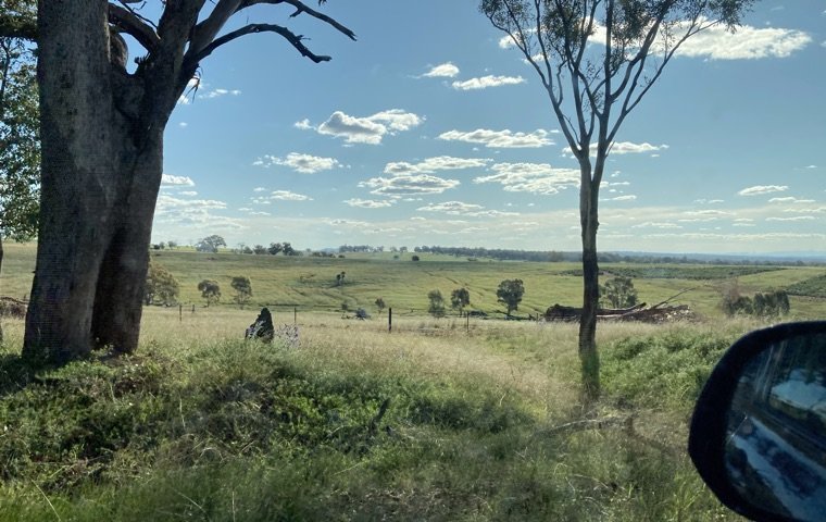 Rural NSW landscape